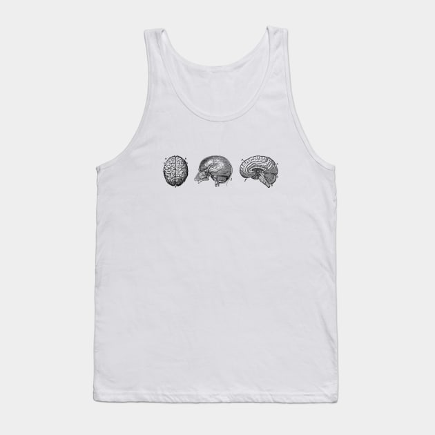 Brain Diagram - Three Views - Vintage Anatomy Tank Top by Vintage Anatomy Prints